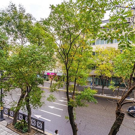 Vip Apartamen Nizami Street Apartment Баку Екстериор снимка